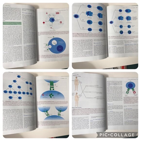 Exploring Immunology Concepts And Evidence By Gordon McPherson & Jon Austyn HC - Picture 8 of 16